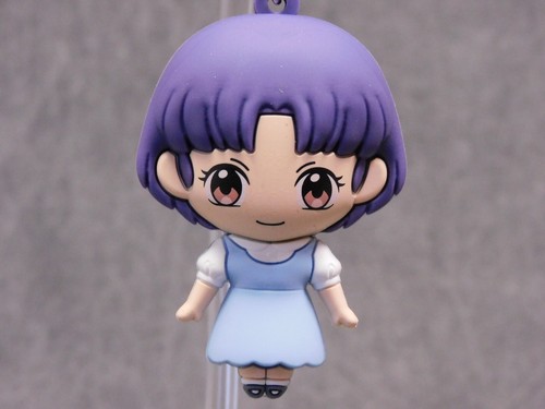 Ranma nuovo akane tendo - ranma,